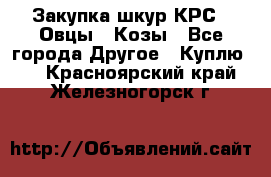 Закупка шкур КРС , Овцы , Козы - Все города Другое » Куплю   . Красноярский край,Железногорск г.